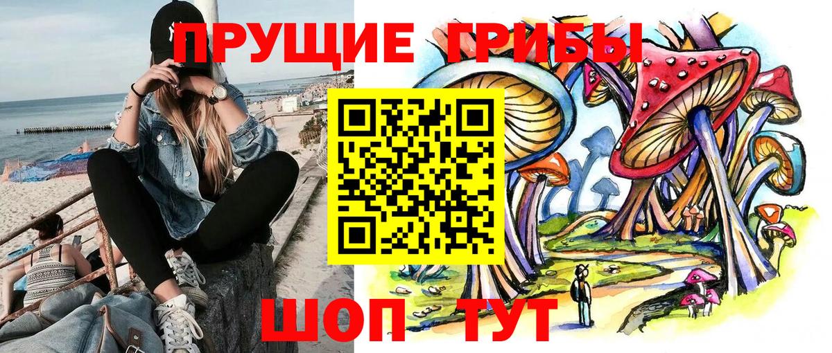 Псилоцибиновые грибы прущие грибы Кыштым