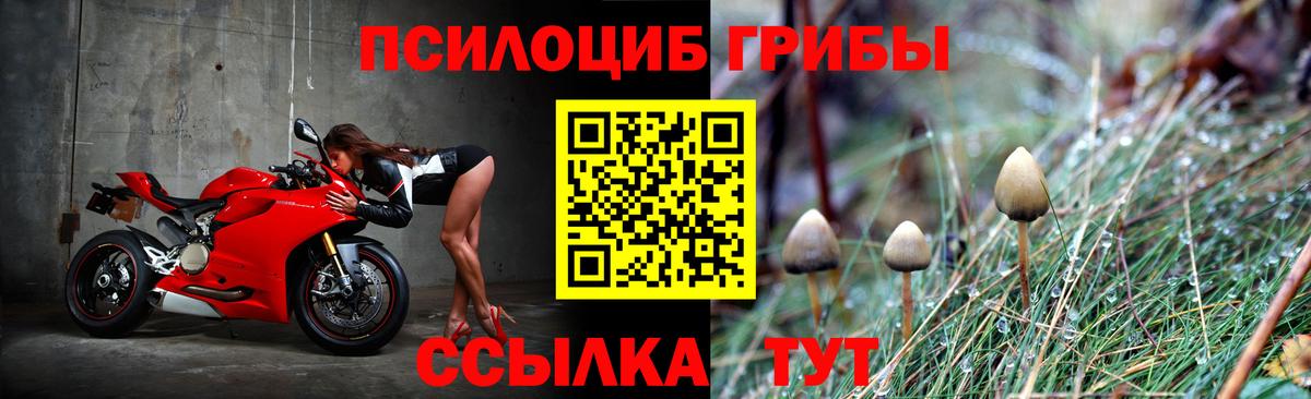 Псилоцибиновые грибы прущие грибы  Вход с VPN  Кыштым  Галлюциногенные грибы мухоморы 